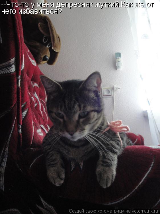 Котоматрица: --Что-то у меня депресняк жуткий.Как же от него избавиться?