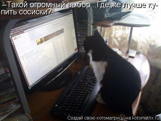 Котоматрица: --Такой огромный выбор...Где же лучше ку- пить сосиски?