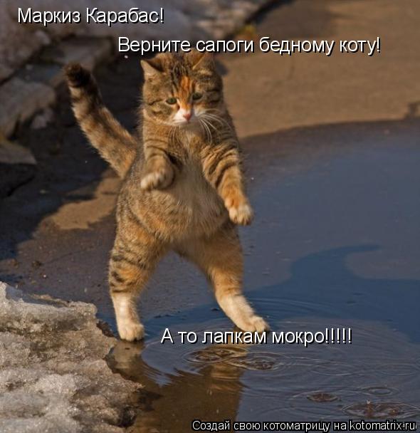 Котоматрица: Маркиз Карабас!  Верните сапоги бедному коту! А то лапкам мокро!!!!!