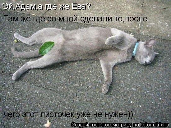 Котоматрица: Эй,Адам,а где же Ева? Там же где со мной сделали то,после чего,этот листочек уже не нужен))
