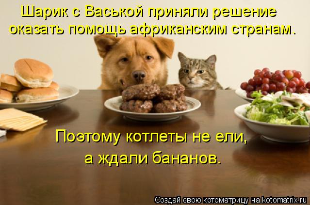 Котоматрица: Шарик с Васькой приняли решение  оказать помощь африканским странам. Поэтому котлеты не ели, а ждали бананов.