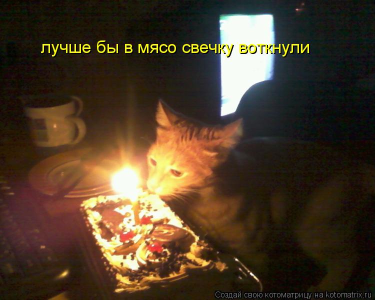 Котоматрица: лучше бы в мясо свечку воткнули
