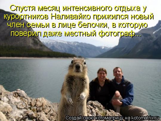 Котоматрица: Спустя месяц интенсивного отдыха у  курортников Наливайко прижился новый член семьи в лице белочки, в которую поверил даже местный фотогра