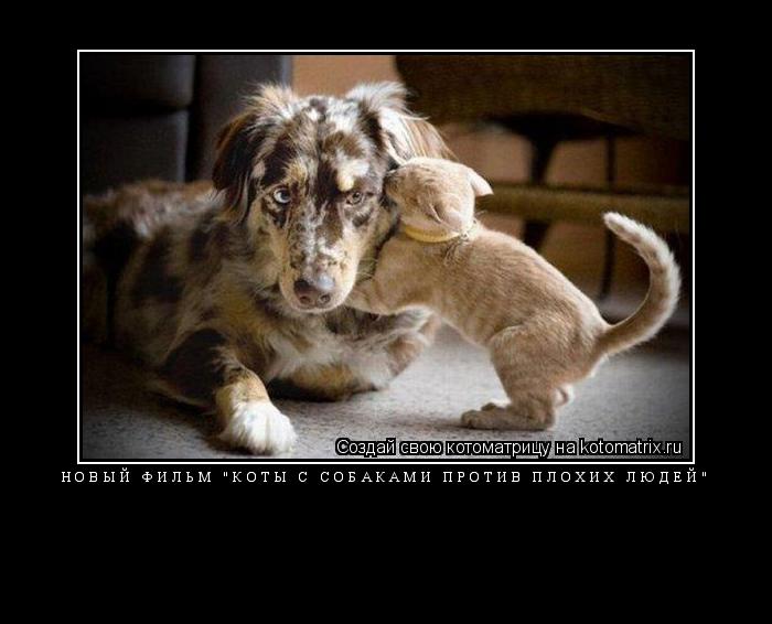 Котоматрица: новый фильм "коты с собаками против плохих людей" 