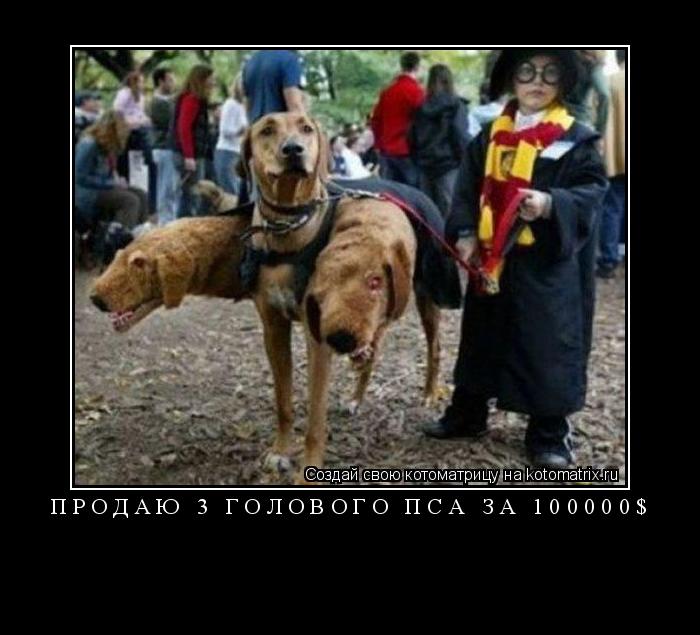 Котоматрица: продаю 3 голового пса за 100000$ 