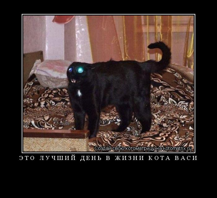 Котоматрица: это лучший день в жизни кота васи 