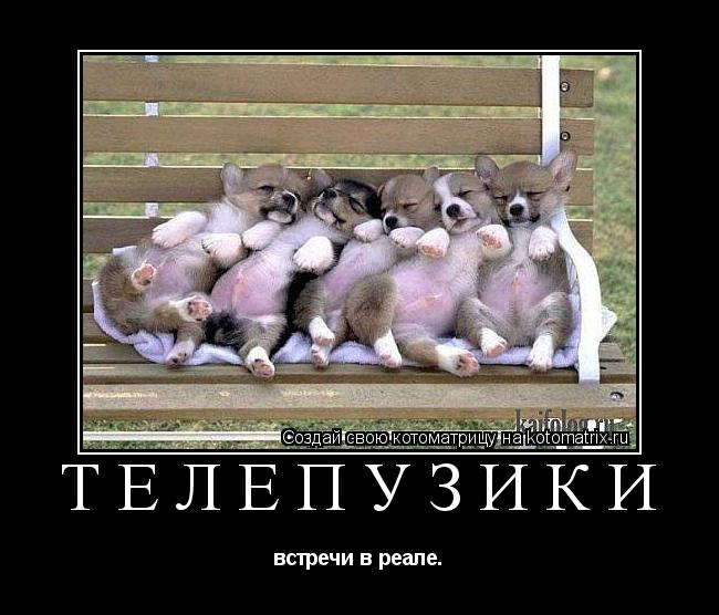 Котоматрица: Телепузики встречи в реале.