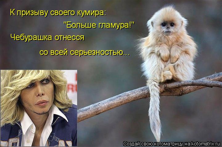 Котоматрица: К призыву своего кумира: "Больше гламура!" Чебурашка отнесся со всей серьезностью...