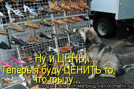 Котоматрица: - Ну и ЦЕНЫ... Теперь я буду ЦЕНИТЬ то,  что грызу...
