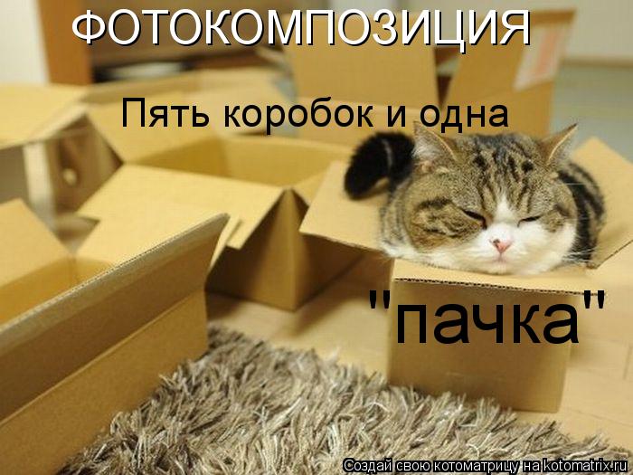 ФОТОКОМПОЗИЦИЯ "пачка" Пять коробок и одна... Котоматрица: ФОТОКОМПОЗИЦИЯ "пачка" Пять коробок и одна