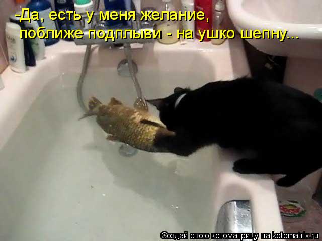 Котоматрица: -Да, есть у меня желание, поближе подплыви - на ушко шепну...