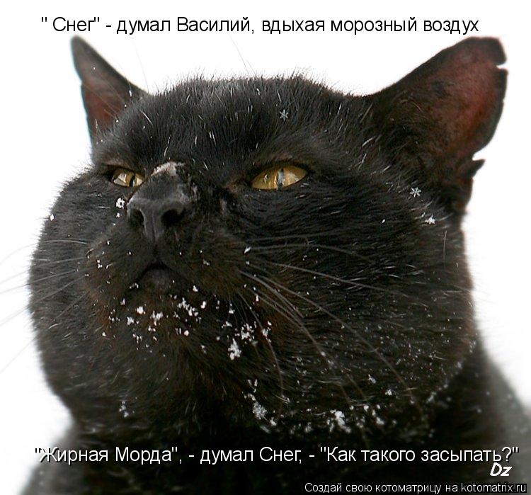 " Снег" - думал Василий, вдыхая морозный воздух "Жирная Морда", - думал Снег, - "Как такого засыпать?... Котоматрица: " Снег" - думал Василий, вдыхая морозный воздух "Жирная Морда", - думал Снег, - "Как такого засыпать?"