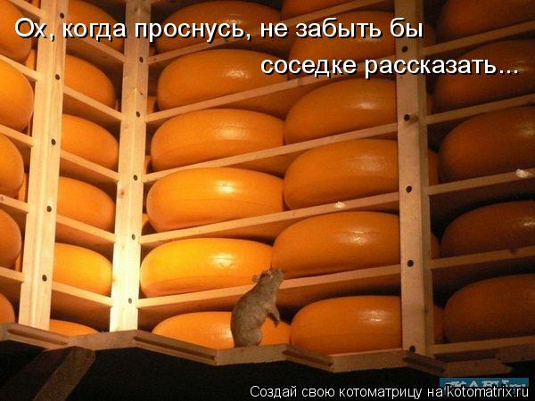 Ох, когда проснусь, не забыть бы соседке рассказать...... Котоматрица: Ох, когда проснусь, не забыть бы соседке рассказать...