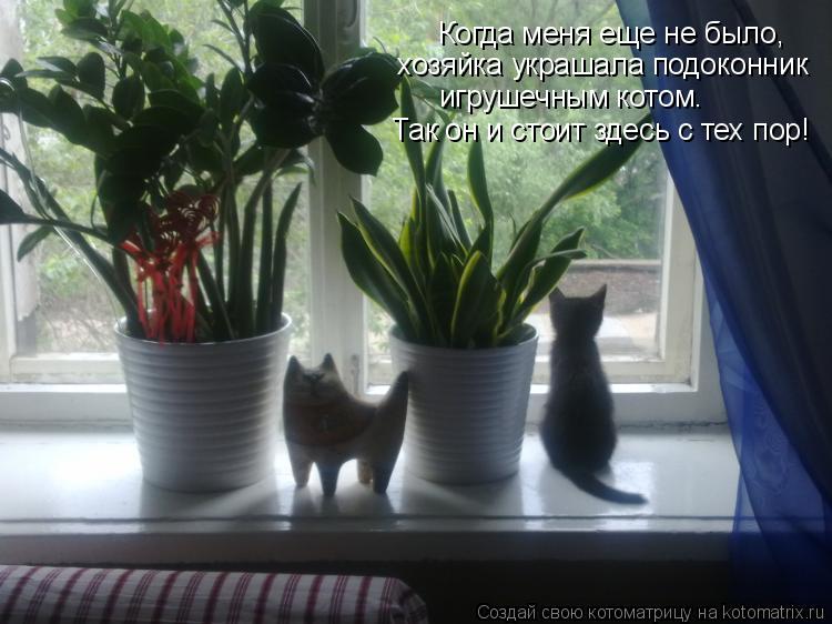 Когда меня еще не было, хозяйка украшала подоконник игрушечным котом. Так он и стоит здесь с тех пор... Котоматрица: Когда меня еще не было, хозяйка украшала подоконник игрушечным котом. Так он и стоит здесь с тех пор!
