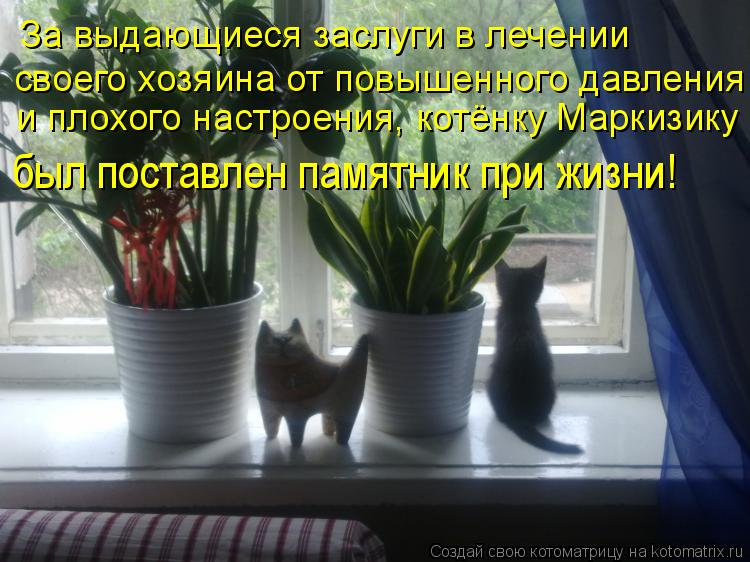 За выдающиеся заслуги в лечении своего хозяина от повышенного давления и плохого настроения, котёнку ... Котоматрица: За выдающиеся заслуги в лечении своего хозяина от повышенного давления и плохого настроения, котёнку Маркизику был поставлен памятник пр