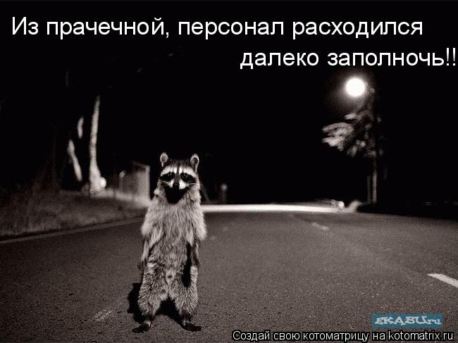 Из прачечной, персонал расходился далеко заполночь!!!... Котоматрица: Из прачечной, персонал расходился далеко заполночь!!!