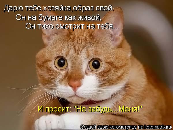 Дарю тебе,хозяйка,образ свой. Он на бумаге как живой, Он тихо смотрит на тебя... И просит: "Не забудь... Котоматрица: Дарю тебе,хозяйка,образ свой. Он на бумаге как живой, Он тихо смотрит на тебя... И просит: "Не забудь...Меня!"