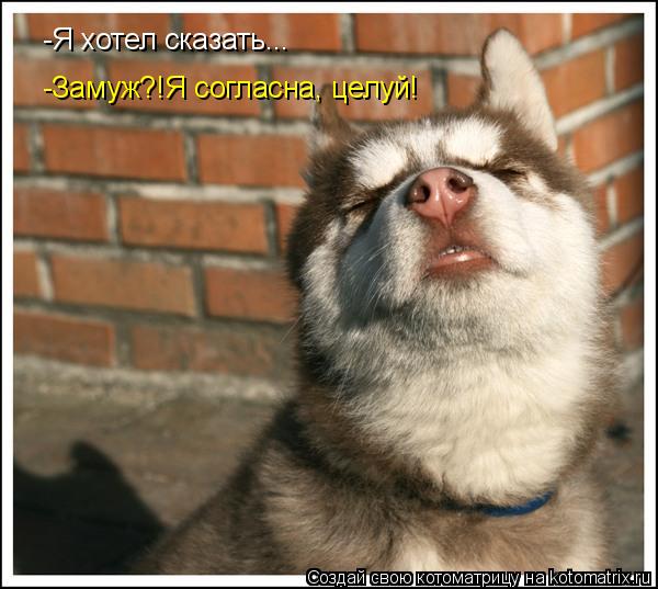 -Я хотел сказать... -Замуж?!Я согласна, целуй!... Котоматрица: -Я хотел сказать... -Замуж?!Я согласна, целуй!