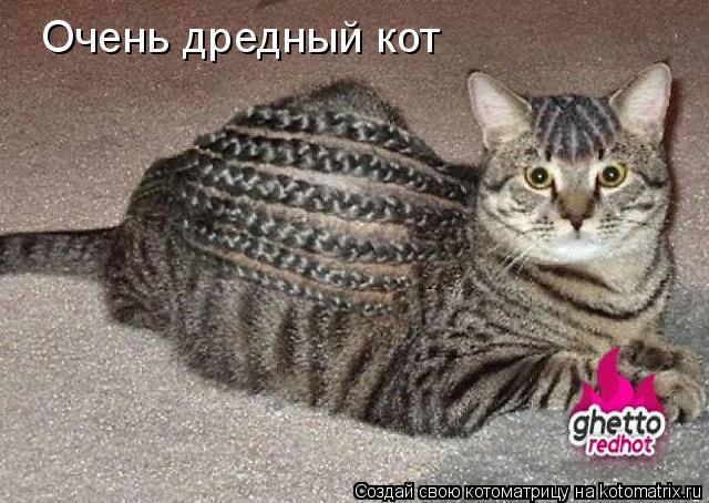 Котоматрица: Очень дредный кот