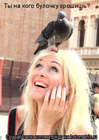Ты на кого булочку крошишь?... Котоматрица: Ты на кого булочку крошишь?