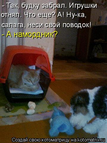 - Так, будку забрал. Игрушки отнял. Что еще? А! Ну-ка, салага, неси свой поводок! - А намордник?... Котоматрица: - Так, будку забрал. Игрушки отнял. Что еще? А! Ну-ка, салага, неси свой поводок! - А намордник?
