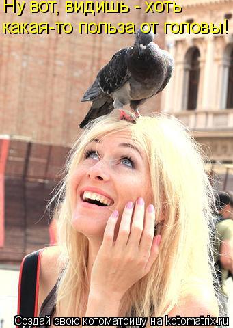 Котоматрица: Ну вот, видишь - хоть  какая-то польза от головы!