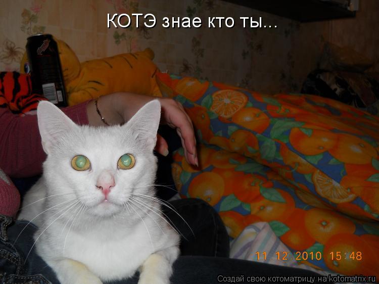 КОТЭ знае кто ты...... Котоматрица: КОТЭ знае кто ты...