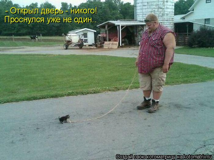 - Открыл дверь - никого! Проснулся уже не один..... Котоматрица: - Открыл дверь - никого! Проснулся уже не один..