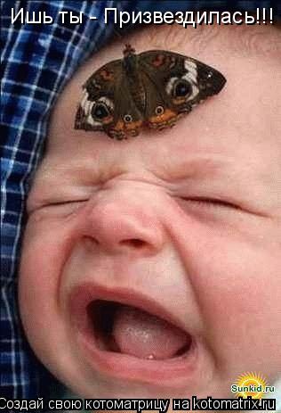 Ишь ты - Призвездилась!!!... Котоматрица: Ишь ты - Призвездилась!!!