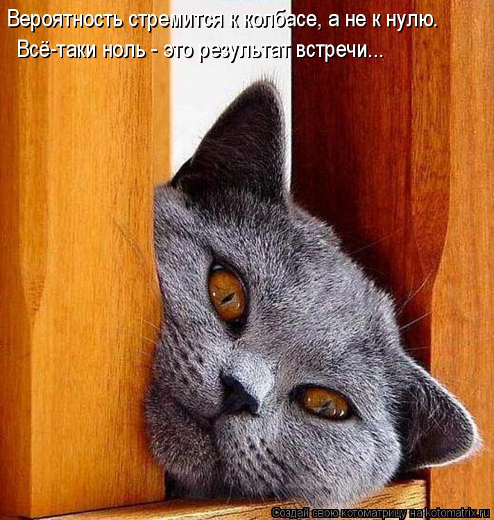 Котоматрица: Вероятность стремится к колбасе, а не к нулю. Всё-таки ноль - это результат встречи...