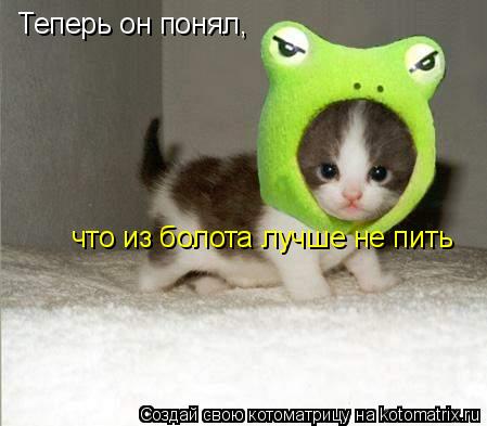 Котоматрица: Теперь он понял,  что из болота лучше не пить