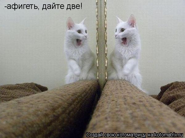 Котоматрица: -афигеть, дайте две!