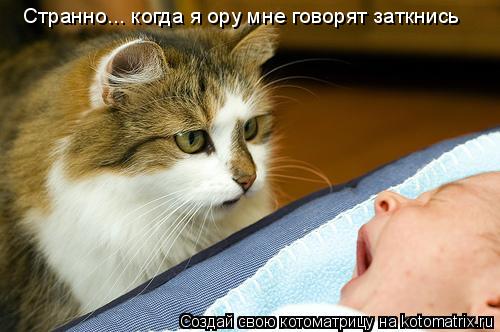 Котоматрица: Странно... когда я ору мне говорят заткнись