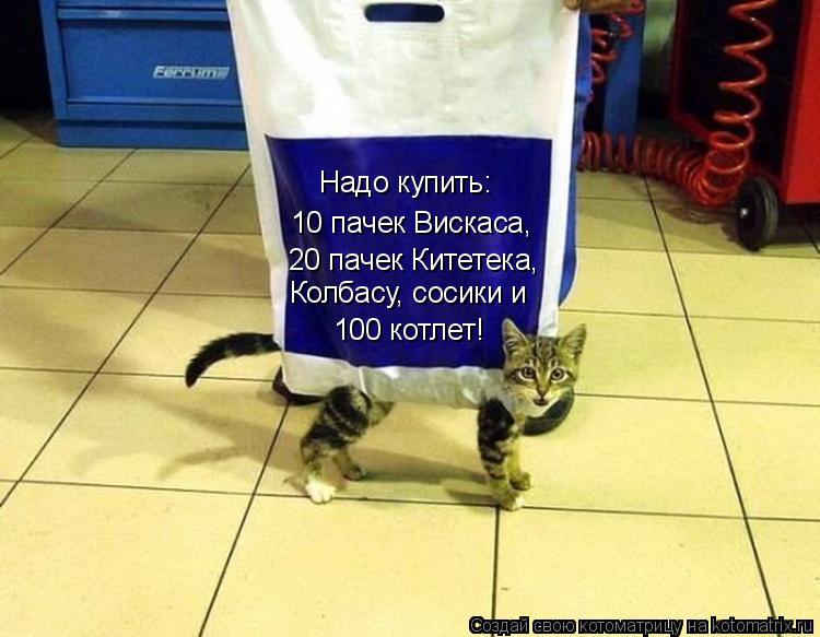 Котоматрица: Надо купить: 10 пачек Вискаса, 20 пачек Китетека, Колбасу, сосики и 100 котлет!