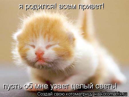 Котоматрица: я родился! всем привет! пусть об мне узает целый светь!