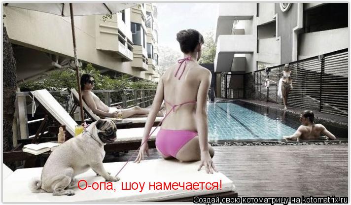 Котоматрица: О-опа, шоу намечается!