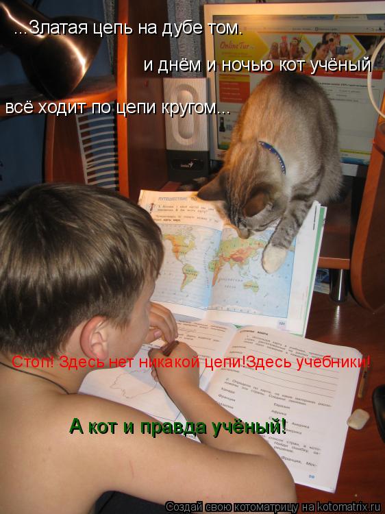 Котоматрица: ...Златая цепь на дубе том. и днём и ночью кот учёный всё ходит по цепи кругом...  Стоп! Здесь нет никакой цепи!Здесь учебники! А кот и правда учё