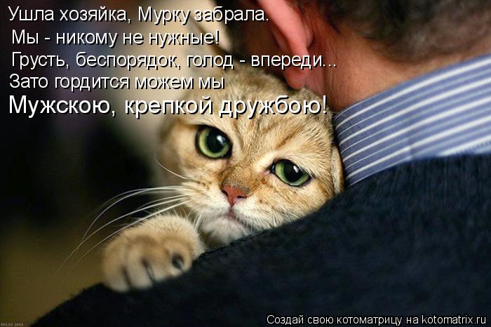 Котоматрица: Ушла хозяйка, Мурку забрала. Мы - никому не нужные! Грусть, беспорядок, голод - впереди... Зато гордится можем мы  Мужскою, крепкой дружбою!