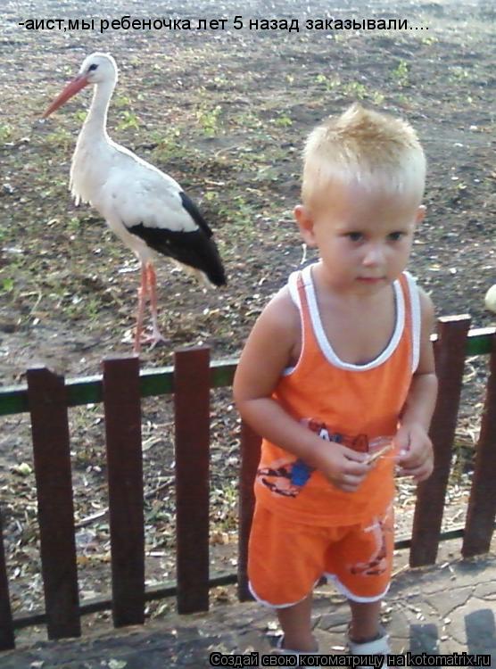 Котоматрица: -аист,мы ребеночка лет 5 назад заказывали....