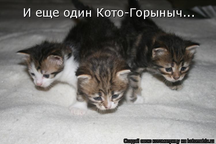 Котоматрица: И еще один Кото-Горыныч...