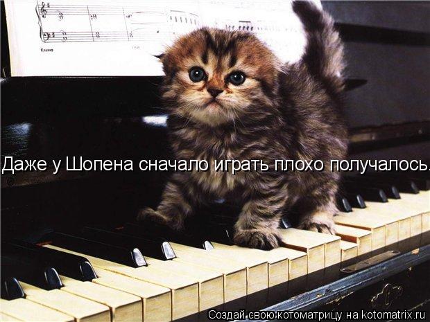 Котоматрица: Даже у Шопена сначало играть плохо получалось.
