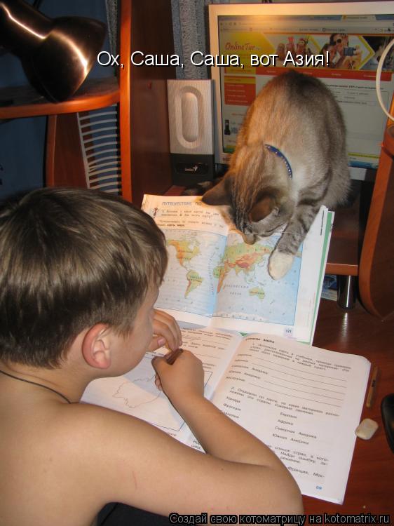 Котоматрица: Ох, Саша, Саша, вот Азия!