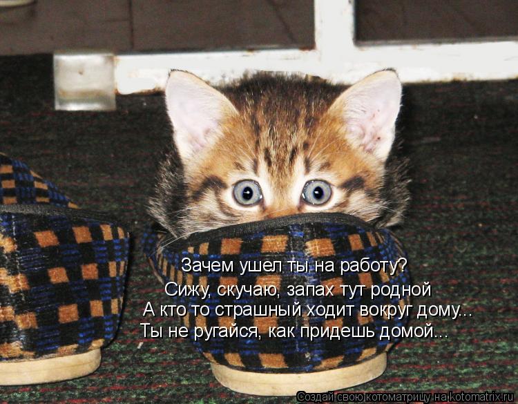 Котоматрица: Зачем ушел ты на работу? Сижу, скучаю, запах тут родной А кто то страшный ходит вокруг дому... Ты не ругайся, как придешь домой...