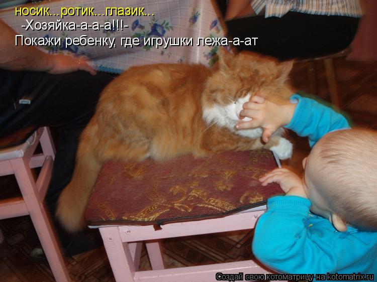 носик...ротик...глазик... -Хозяйка-а-а-а!!!- Покажи ребенку, где игрушки лежа-а-ат... Котоматрица: носик...ротик...глазик... -Хозяйка-а-а-а!!!- Покажи ребенку, где игрушки лежа-а-ат
