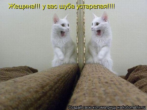 Жещина!!! у вас шуба устарелая!!!!... Котоматрица: Жещина!!! у вас шуба устарелая!!!!