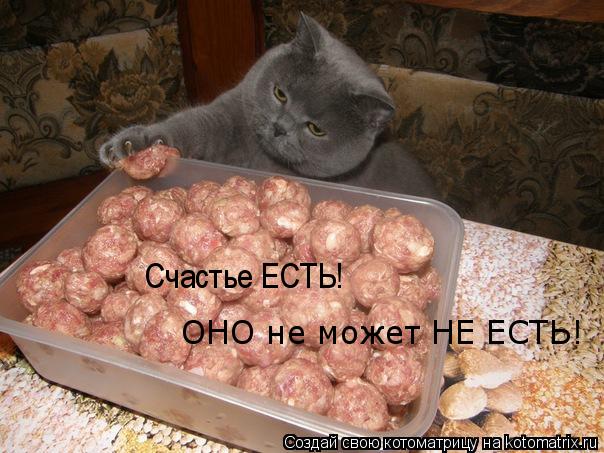 Счастье ЕСТЬ! ОНО не может НЕ ЕСТЬ!... Котоматрица: Счастье ЕСТЬ! ОНО не может НЕ ЕСТЬ!