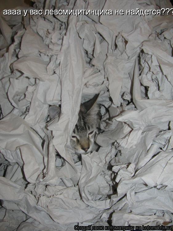 аааа у вас левомицитинцика не найдется??? аааа у вас левомицитинцика не найдется???... Котоматрица: аааа у вас левомицитинцика не найдется??? аааа у вас левомицитинцика не найдется???