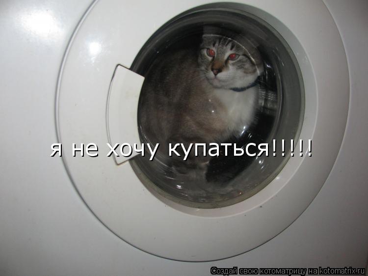 я не хочу купаться!!!!! я не хочу купаться!!!!!... Котоматрица: я не хочу купаться!!!!! я не хочу купаться!!!!!