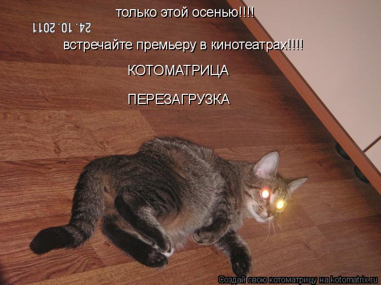 только этой осенью!!!! встречайте премьеру в кинотеатрах!!!! КОТОМАТРИЦА ПЕРЕЗАГРУЗКА... Котоматрица: только этой осенью!!!! встречайте премьеру в кинотеатрах!!!! КОТОМАТРИЦА ПЕРЕЗАГРУЗКА