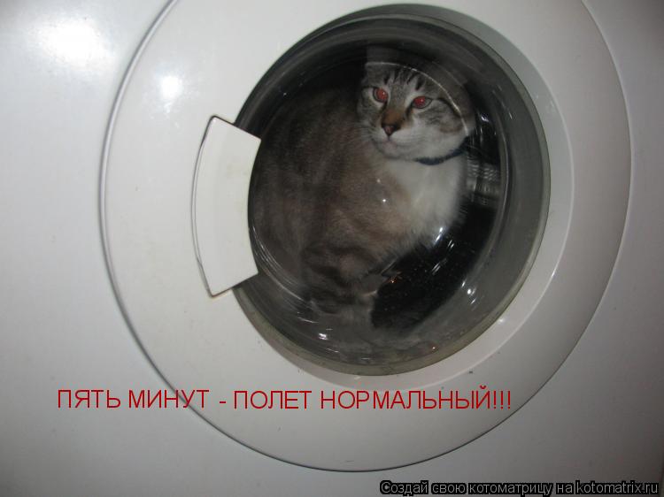 ПЯТЬ МИНУТ - ПОЛЕТ НОРМАЛЬНЫЙ!!!... Котоматрица: ПЯТЬ МИНУТ - ПОЛЕТ НОРМАЛЬНЫЙ!!!